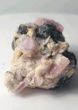 Tourmaline Pink Tourmaline Crystals  Grown On Black Tourmaline 