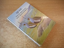 Quail: Their Breeding and