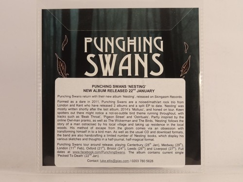 Punching swans nesting - swans,