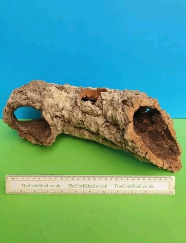Cork bark hamster - hamster, nest
