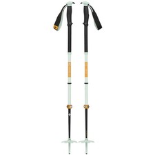 2-Piece Backcountry Poles -