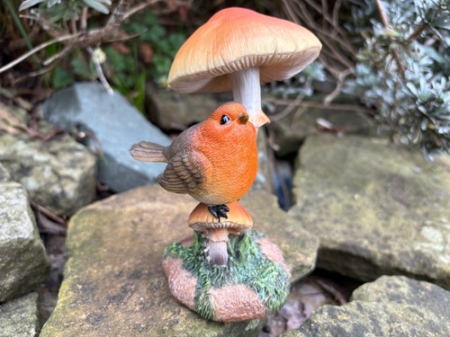 Vivid arts robin toadstool - vivid,
