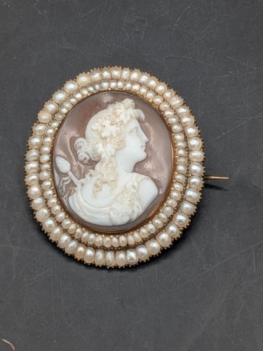 Antique victorian shell - antique, cameo