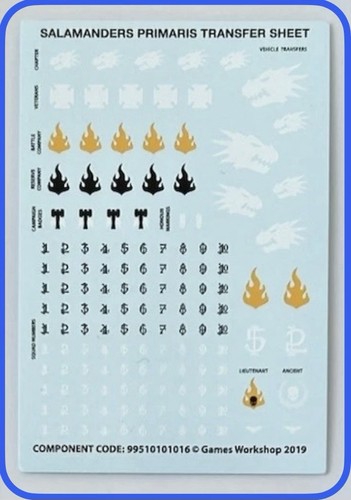 Salamanders transfer sheet - salamanders,