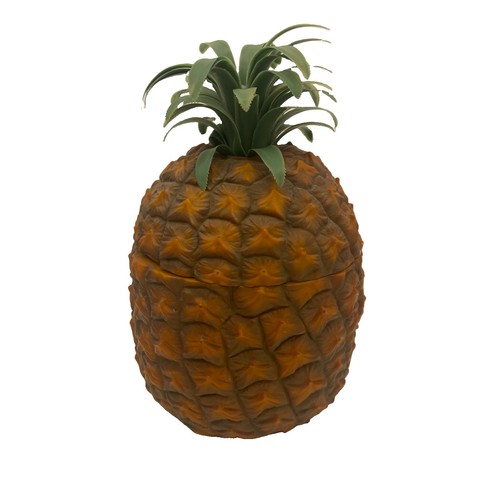 Vintage 1970s pineapple ice - vintage,