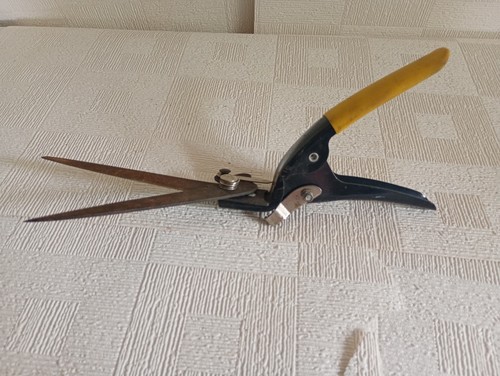 Garden hand shears - garden, pruning