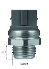 TEMPERATURE SWITCH, RADIATOR