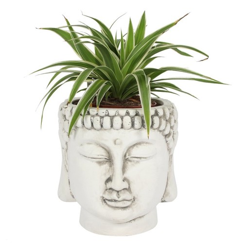 Buddha head planter - buddha, white