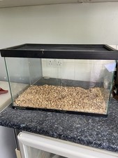 Vivarium With Mesh Lid