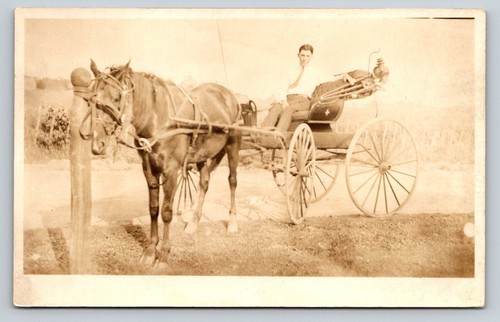 Rppc horse drawn - rppc,