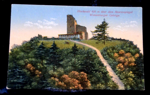 61461 hochwald waldenburger - 61461,