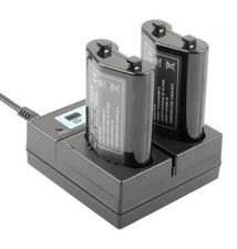 Dual Battery Charger for