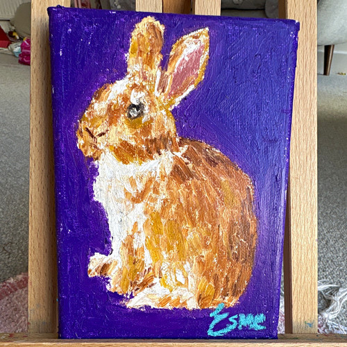 Graceful bunny rabbit - “graceful, bunny”