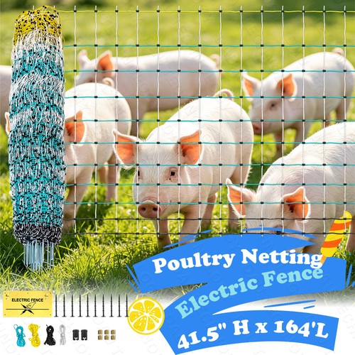 Portable electric fence - portable,