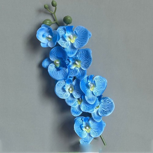 Simulation butterfly orchid - simulation,