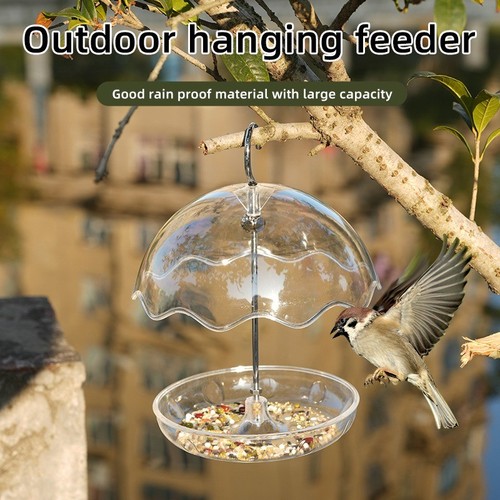 Hanging see through squirrel - see,