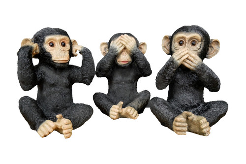 Hear evil see speak - no,