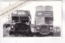 ULSTERBUS - LEYLAND / U.T.A. -
