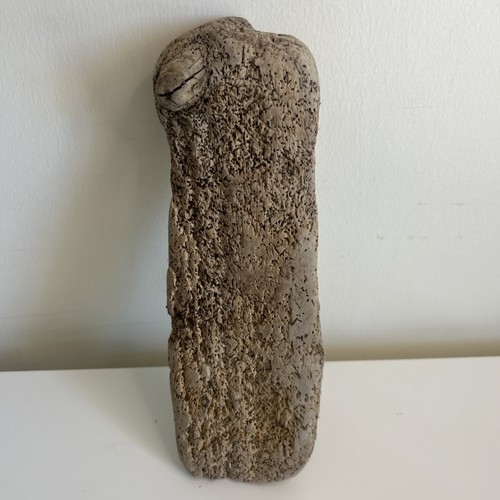 Unique driftwood piece - 1, –