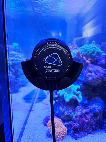 Ecotech marine vortech - marine, 3d