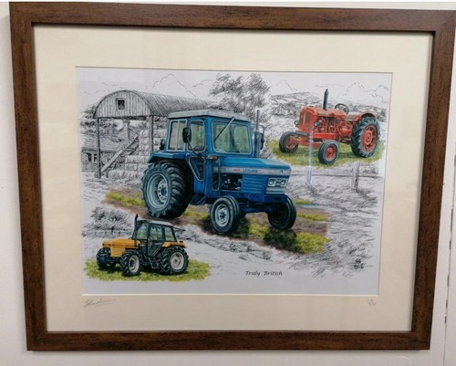 Framed picture print - framed,