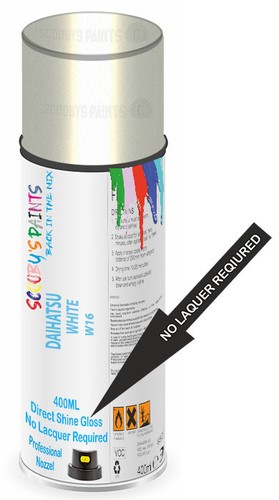 Aerosol spray paint for - spray,