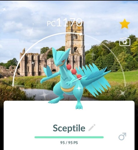 Shiny sceptile bg fountains - bg,