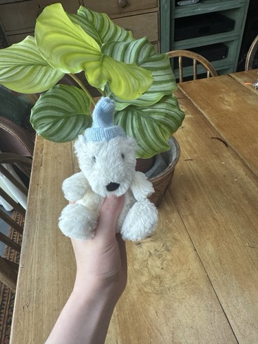 Jellycat polar bear - jellycat,