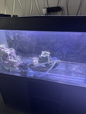 fish tank with cabinet used