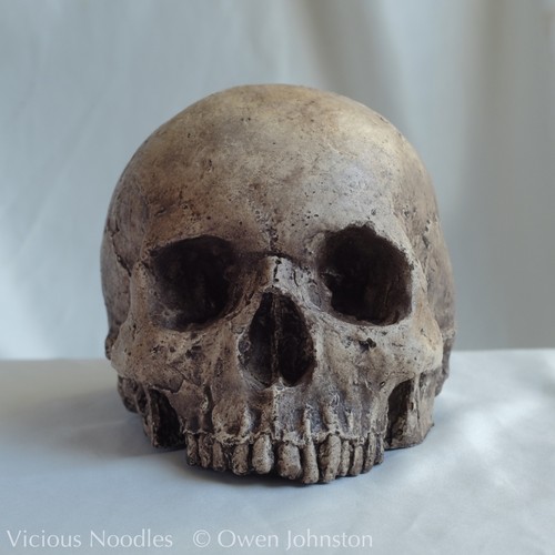 Human skull replica - skull, handmade
