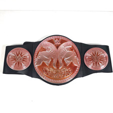 WWE Tag Team Champions Kids