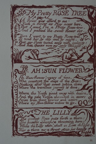 Pretty rose tree songs of - my,