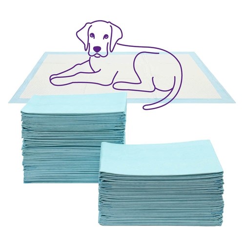 Petlicity puppy training - puppy,