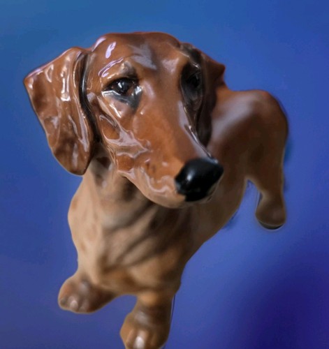 Royal doulton dachsund dog - royal,