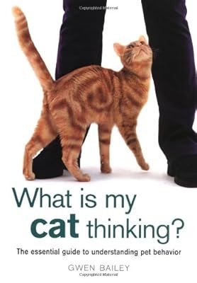 What cat thinking - what, the