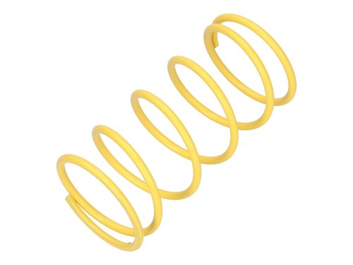 Torque spring malossi - spring,