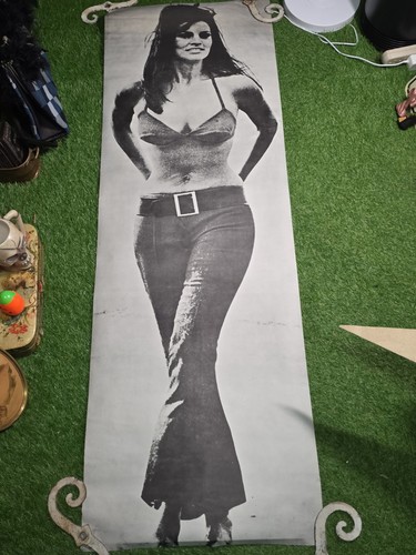 Vintage 1969 raquel - welch, door