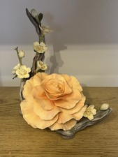 Boehm Mary Heatley Begonia