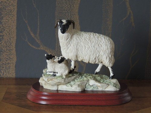 Border fine arts - border, ayres