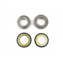 Steering Bearing & Seal Kit