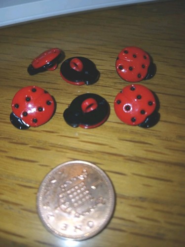 Ladybird small buttons x - bn,