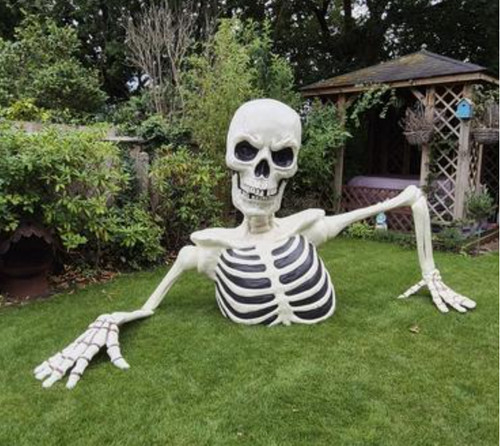 Large halloween skeleton - halloween,