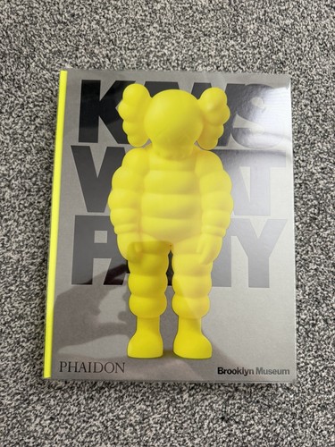 Kaws what party yellow - kaws,