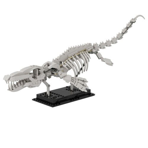 Moc mosasaur skeleton - 14'',