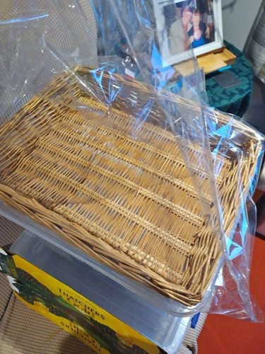 Wicker tray basket new - tray, basket-new-
