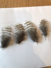 Woodcock Hackle Plumage
