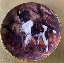 DOG  SPRINGER SPANIEL PLATE