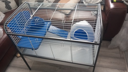 Guinea pig cage - guinea, little