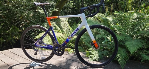 Cinelli pressure adr - cinelli, (xl)