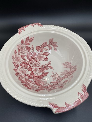 Johnson bros windsor ware - windsor,